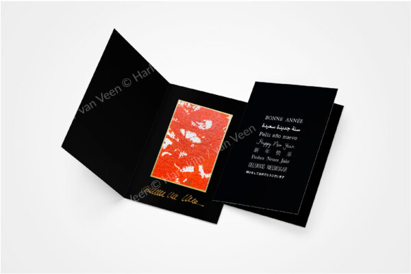 WebshopHNY28_HappyNewYearCard
