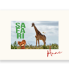 ADP_Safari